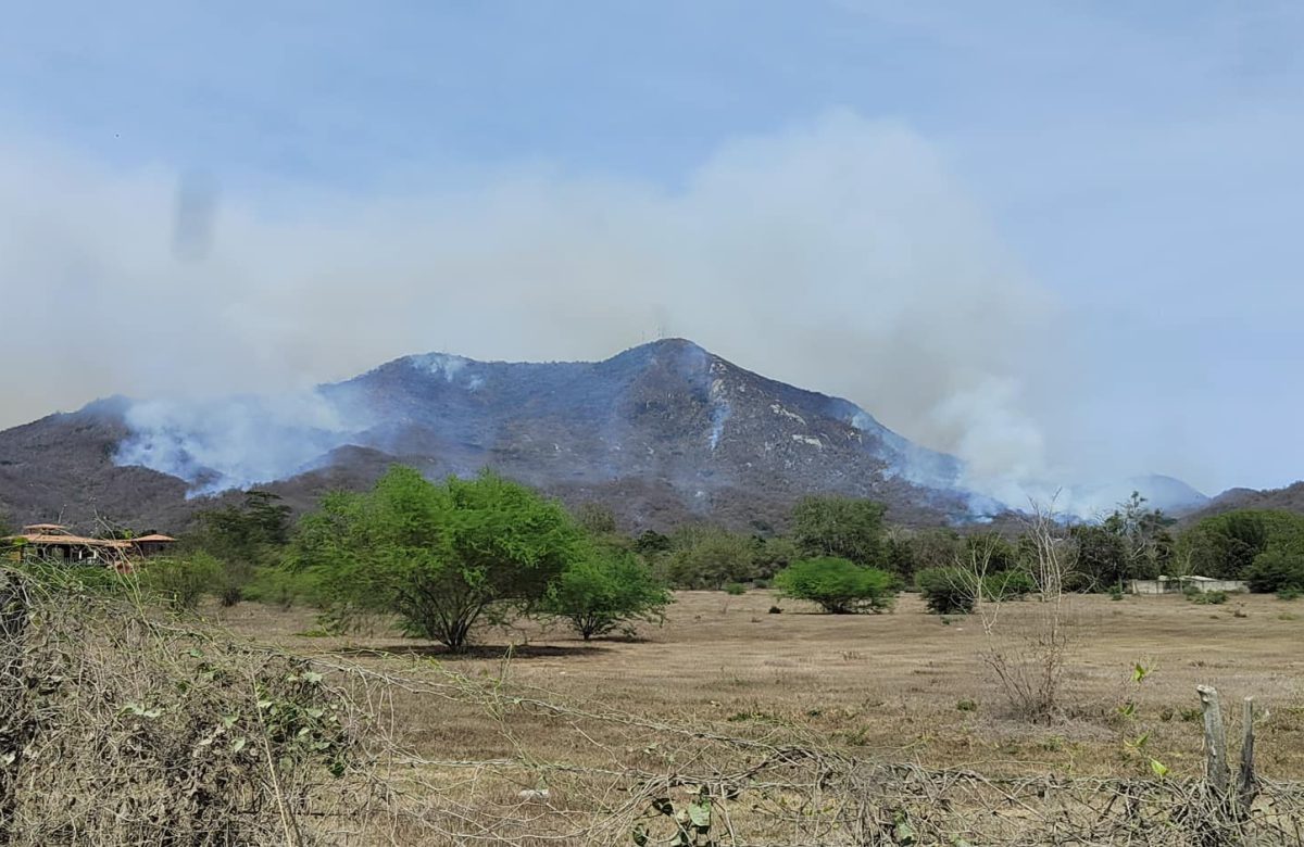 Avances en combate al incendio en Cerro del Toro, Manzanillo